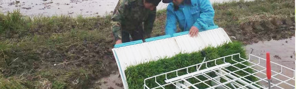 強大的產品質量 包您滿意 強大的產品質量 包您滿意